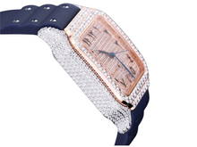 Load image into Gallery viewer, DinsFins Diamonds ICed out Watches