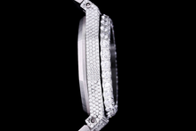 Load image into Gallery viewer, DinsFins Diamonds ICed out Watches