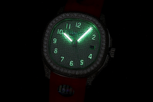 Load image into Gallery viewer, DinsFins Diamonds ICed out Watches