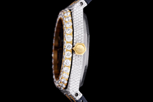 Load image into Gallery viewer, DinsFins Diamonds ICed out Watches