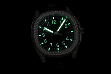 Load image into Gallery viewer, DinsFins Diamonds ICed out Watches