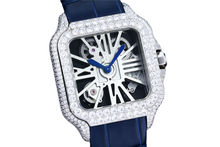 Load image into Gallery viewer, DinsFins Diamonds ICed out Watches