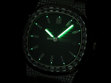 Load image into Gallery viewer, DinsFins Diamonds ICed out Watches