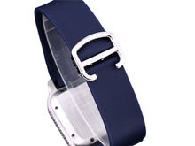 Load image into Gallery viewer, DinsFins Diamonds ICed out Watches