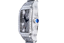 Load image into Gallery viewer, DinsFins Diamonds ICed out Watches