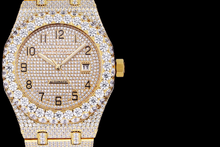 Load image into Gallery viewer, DinsFins Diamonds ICed out Watches
