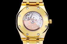 Load image into Gallery viewer, DinsFins Diamonds ICed out Watches