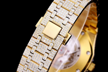 Load image into Gallery viewer, DinsFins Diamonds ICed out Watches