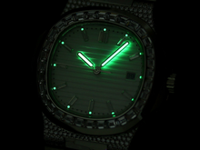 Load image into Gallery viewer, DinsFins Diamonds ICed out Watches
