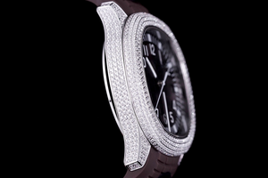 DinsFins Diamonds ICed out Watches