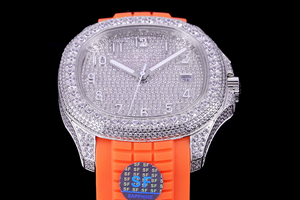 DinsFins Diamonds ICed out Watches