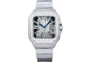 DinsFins Diamonds ICed out Watches