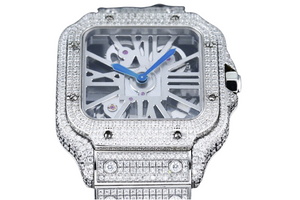 DinsFins Diamonds ICed out Watches