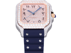 DinsFins Diamonds ICed out Watches