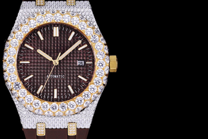 DinsFins Diamonds ICed out Watches