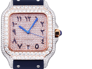 DinsFins Diamonds ICed out Watches