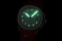 Load image into Gallery viewer, DinsFins Diamonds ICed out Watches
