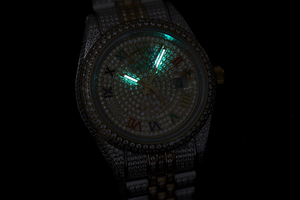 DinsFins Iced Out Diamond Watches DJ001