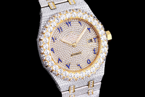 DinsFins Diamonds ICed out Watches