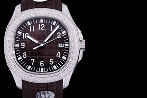 DinsFins Diamonds ICed out Watches