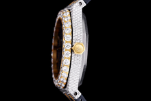 Load image into Gallery viewer, DinsFins Diamonds ICed out Watches
