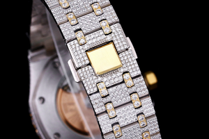 DinsFins Diamonds ICed out Watches