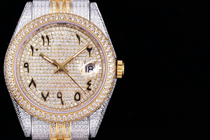 DinsFins Diamonds ICed out Watches