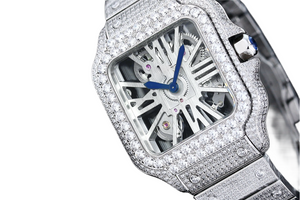 DinsFins Diamonds ICed out Watches