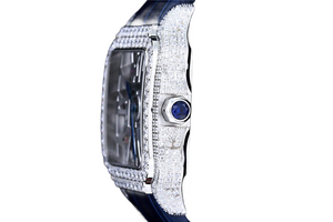 DinsFins Diamonds ICed out Watches