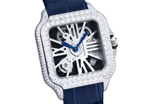 Load image into Gallery viewer, DinsFins Diamonds ICed out Watches
