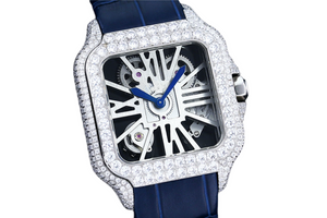 DinsFins Diamonds ICed out Watches