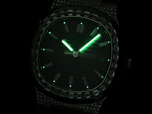 Load image into Gallery viewer, DinsFins Diamonds ICed out Watches
