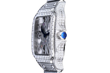 Load image into Gallery viewer, DinsFins Diamonds ICed out Watches
