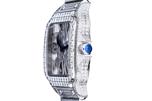 DinsFins Diamonds ICed out Watches