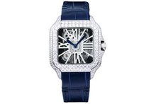 Load image into Gallery viewer, DinsFins Diamonds ICed out Watches
