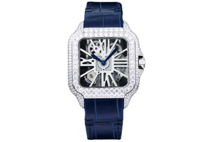 DinsFins Diamonds ICed out Watches