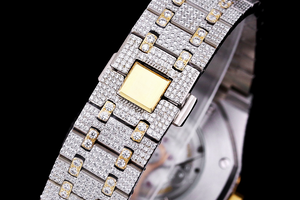 DinsFins Diamonds ICed out Watches