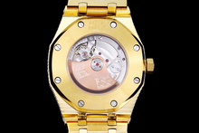 Load image into Gallery viewer, DinsFins Diamonds ICed out Watches
