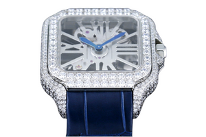 DinsFins Diamonds ICed out Watches