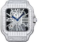 Load image into Gallery viewer, DinsFins Diamonds ICed out Watches
