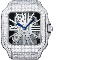 DinsFins Diamonds ICed out Watches